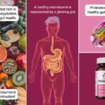 Importance of Gut Health, Probiotics, and the Role of the Microbiome